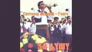 Mala soba puna je cilima