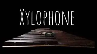 [FREE] instrumental xylophone trap type Beat prod by AM objet prod 