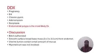 Endometrial Polyp in beagle