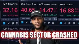 CANNABIS SECTOR CRASHED || CANNABIS STOCKS (TLRY, APHA, CGC) || ANALYSIS, THOUGHTS, & PREDICTIONS
