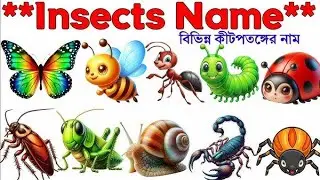 Insects Name For Kids🐞🦋 | Learn Different Name Of Insects In English | Vocabulary video Kindergarden