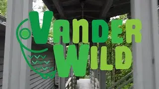 A Tour of Ann and Jeff VanderMeer's Yard #VanderWild