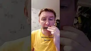 4 Hohner Harmonicas comparison - What is your favorite?