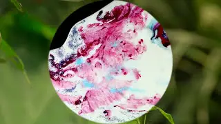 Leslie Charles - softspot
