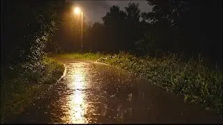 Comfortable Rain Sound for Deep Sleep│Gentle Rain│Deep Relaxation│Sleep Better