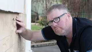 Salt Damp Free Inspection and Quote
