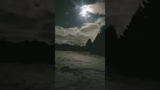 my cat under the moon #music #rock #love #snow #verycold #cat #moonlight #catundermoonlight