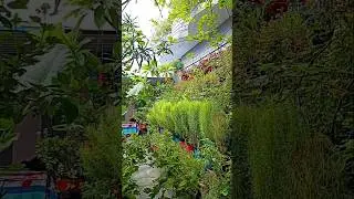 #entrancedecor #garden #decor #homegardendesign #gardening #plants #flowers #nature #trendingshorts