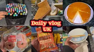 Daily vlog uk || Aldi shopping || Egg pudding Recipe || @taniaaliuk4086