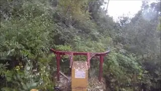 Treeworks Lot Clearing Project