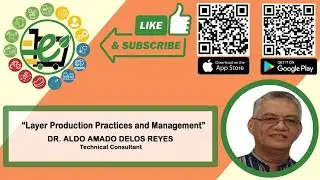 Layer Production and Management