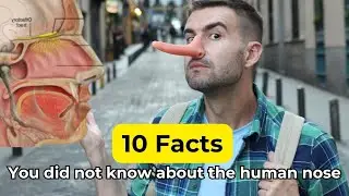 10 FACTS you did NOT know about the HUMAN NOSE