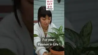 Happiness Hacks for Life - 3 | #getsetgohappy  #gratitude