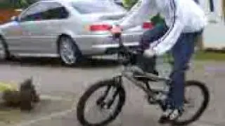 Daredevil stunts the mongoose villain
