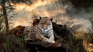 * Born to be Free *