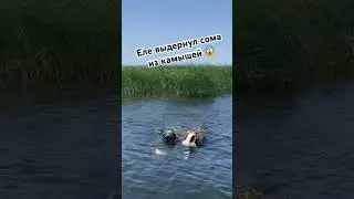 Сом чуть не затащил в камыши! Подводная охота на сома в протоках реки БЕЛАЯ в Башкирии