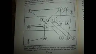 Gurdjieff: Ouspensky: Re: Shock: Conscious.