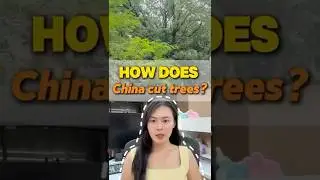 How does China cut trees?#cuttree #loggingmachine #technology #forest #laser