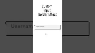 Create Custom Input Border with Html and Css Only #css #html #code #animation #input #border