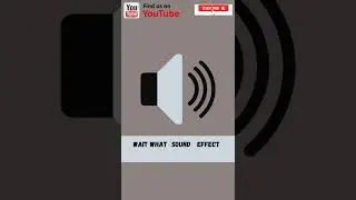Wait What Sound Effect Recap #shorts #beatbox #memes $#500subs