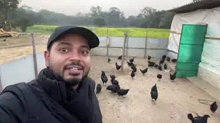 Winter protection at Kadaknath Farm