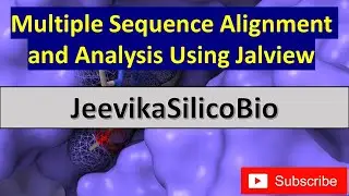 Выравнивание множественных последовательностей с использованием Jalview