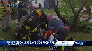 Video: Des Moines police officers rescue dog from house fire