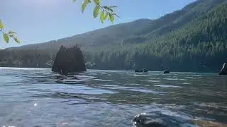 Lake Day by the Falls || Nature ASMR 🍃