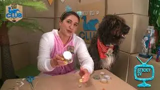 Earlybird Craft: Ball and Cup Game