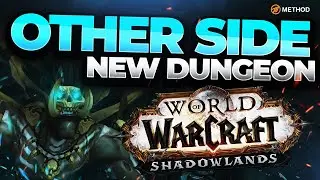 NEW SHADOWLANDS DUNGEON: DE OTHER SIDE | Blood DK POV