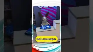 Игрушечный пункт выдачи #новости #news #subscribe #viral #fyp #shorts