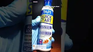 Nitrifying Bacteria Under Microscope (API Quick Start)
