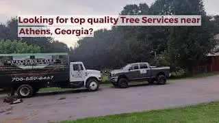 Athens Georgia Tree Care