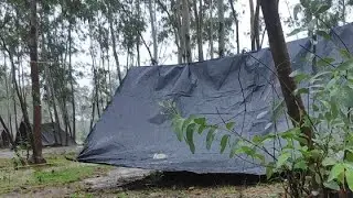 Camping 🏕️