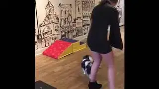 AKC junior handler novice trick entry with Papillon