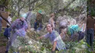 Reviving Berkeley's Rock Parks: Mortar Rock and Grotto Rock