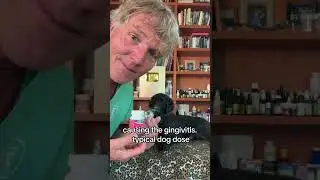 Doggy breath got you down? Try this simple natural remedy!
