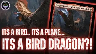 Dragonhawk, Fate's Tempest: EDH Deck Tech // Bloomburrow
