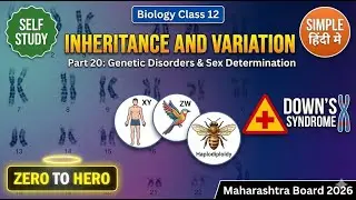 sex determination genetic disorders chromosomal abnormalities part 20