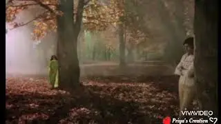 Mai Aur Meri Tanhai | Love Dialogue of Amitabh Bachhan | Silsila Movie | Rekha.