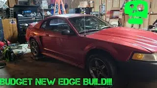HOW TO BUILD A BUDGET NEW EDGE MUSTANG