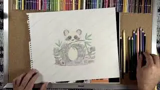 Coloring Paco the Panda 🐼 | Calm Storytime for Kids