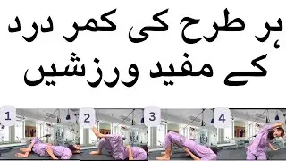 Easy Tips to prevent Back Pain | Exercises for Back Pain, How to Treat Back Pain at Home, Back Care