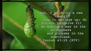 2024 | Year of Divine Completeness | Video Promo