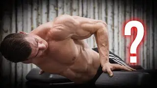 The 