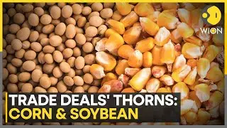 Why Is Corn A Thorn In India-US Trade Deal? | WION | Business News