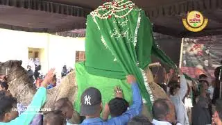 28 Rajab ka Manzar | Maulana Parvez Kamal Qummi Sb | Juloose Amari 28 Rajab Daudpur Ambedkar Nagar