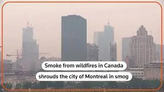 Wildfires shroud Montreal in smoke