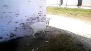 VID 20151006 122614