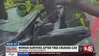 Woman survives after tree, power lines crush car